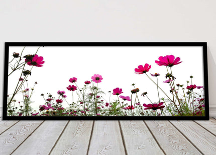 Pink wild flowers on a white background. Panoramic framed picture print