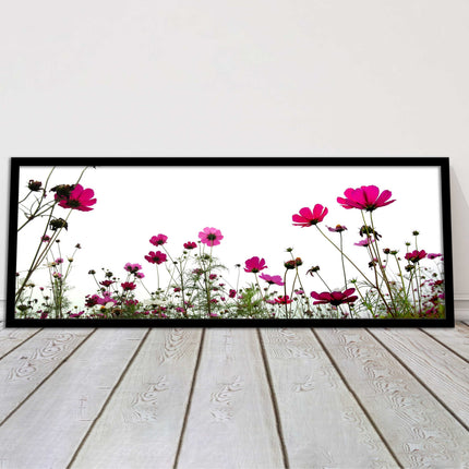 Pink wild flowers on a white background. Panoramic framed picture print