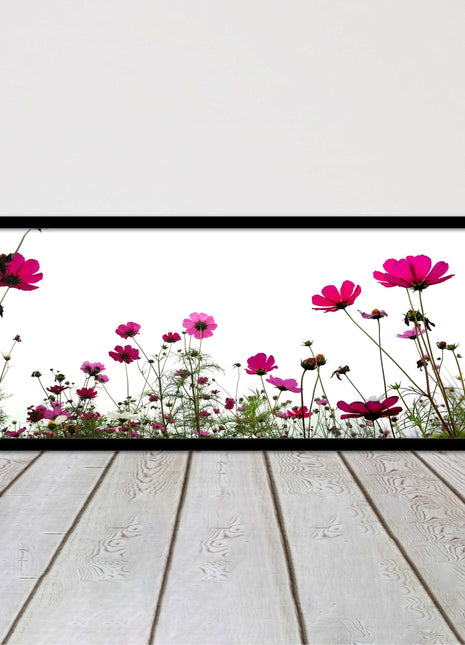Pink wild flowers on a white background. Panoramic framed picture print