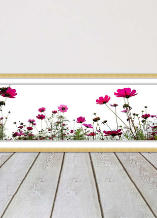 Pink wild flowers on a white background. Panoramic framed picture print