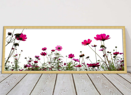Pink wild flowers on a white background. Panoramic framed picture print