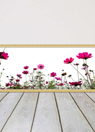 Pink wild flowers on a white background. Panoramic framed picture print