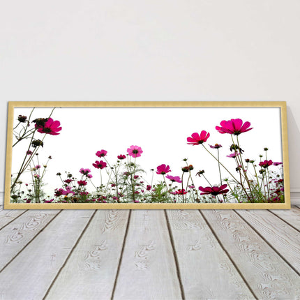 Pink wild flowers on a white background. Panoramic framed picture print
