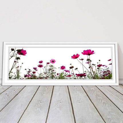 Pink wild flowers on a white background. Panoramic framed picture print