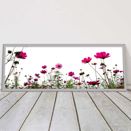 Pink wild flowers on a white background. Panoramic framed picture print