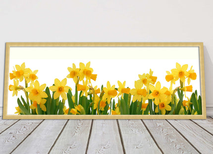 daffodils canvas picture print framed ready to hand choice of colours and sizes