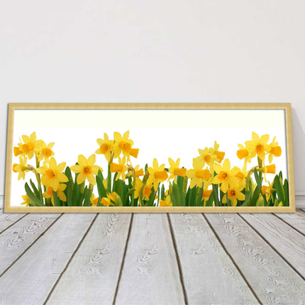 daffodils canvas picture print framed ready to hand choice of colours and sizes