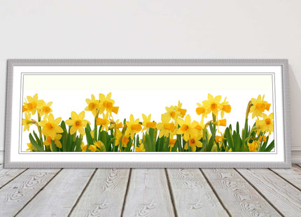 daffodils canvas picture print framed ready to hand choice of colours and sizes