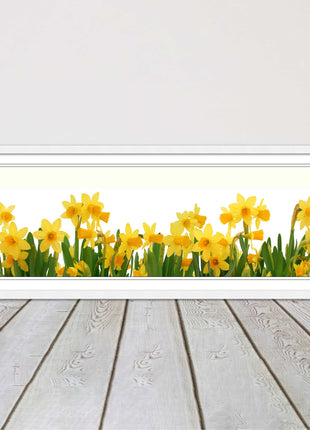 daffodils canvas picture print framed ready to hand choice of colours and sizes