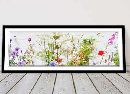 Multi coloured Wild flowers on a white background Panoramic framed picture print