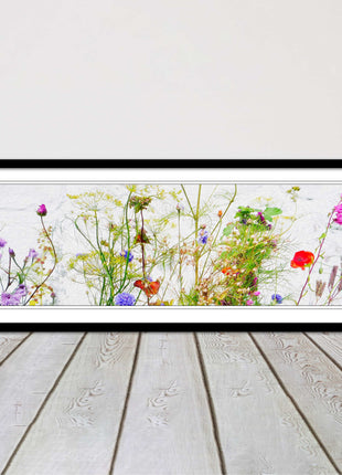 Multi coloured Wild flowers on a white background Panoramic framed picture print