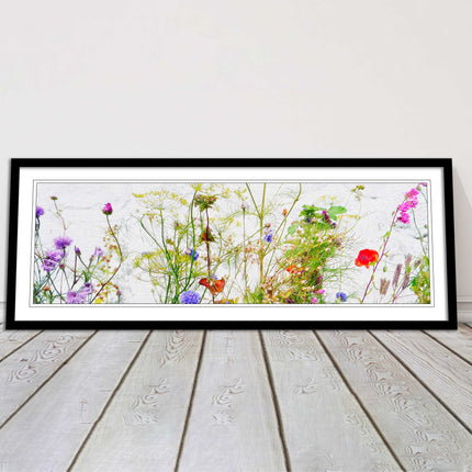 Multi coloured Wild flowers on a white background Panoramic framed picture print