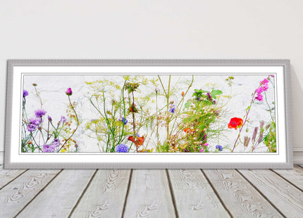 Multi coloured Wild flowers on a white background Panoramic framed picture print