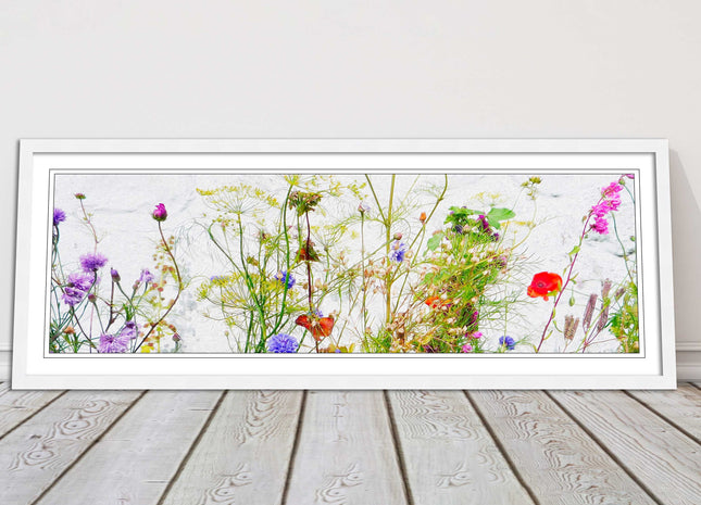 Multi coloured Wild flowers on a white background Panoramic framed picture print