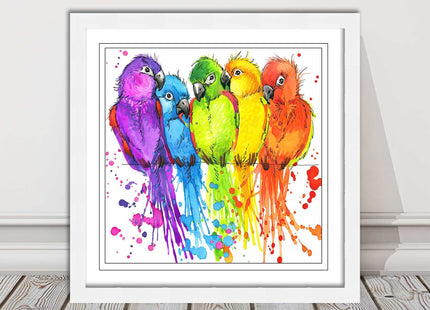 framed picture wall art colourful parrots painting vibrant colours modern