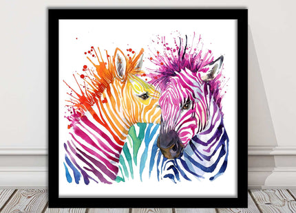 Zebras multi coloura Framed picture print. Colour splash white background