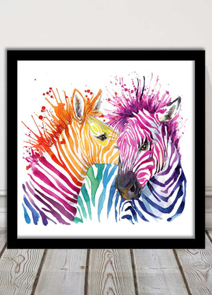 Zebras multi coloura Framed picture print. Colour splash white background