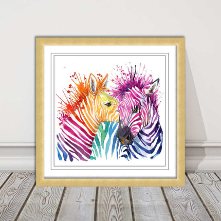 Zebras multi coloura Framed picture print. Colour splash white background