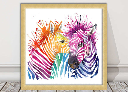 Zebras multi coloura Framed picture print. Colour splash white background