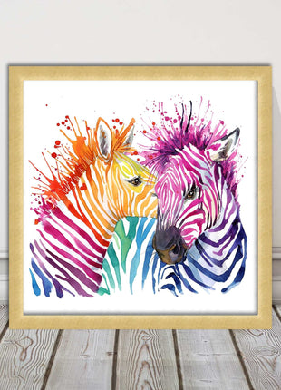 Zebras multi coloura Framed picture print. Colour splash white background