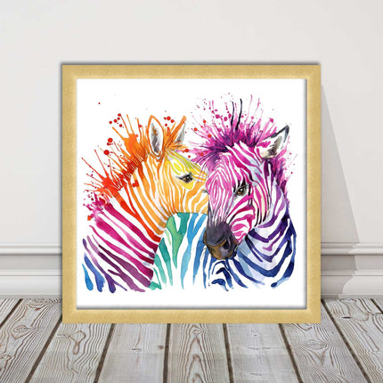 Zebras multi coloura Framed picture print. Colour splash white background