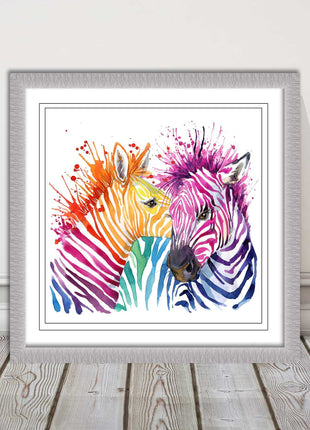 Zebras multi coloura Framed picture print. Colour splash white background