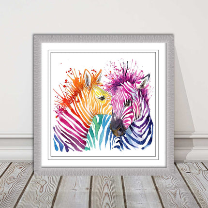 Zebras multi coloura Framed picture print. Colour splash white background