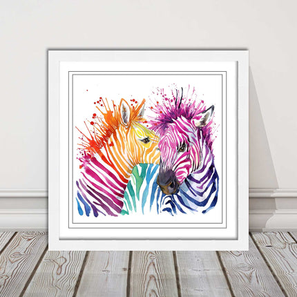 Zebras multi coloura Framed picture print. Colour splash white background