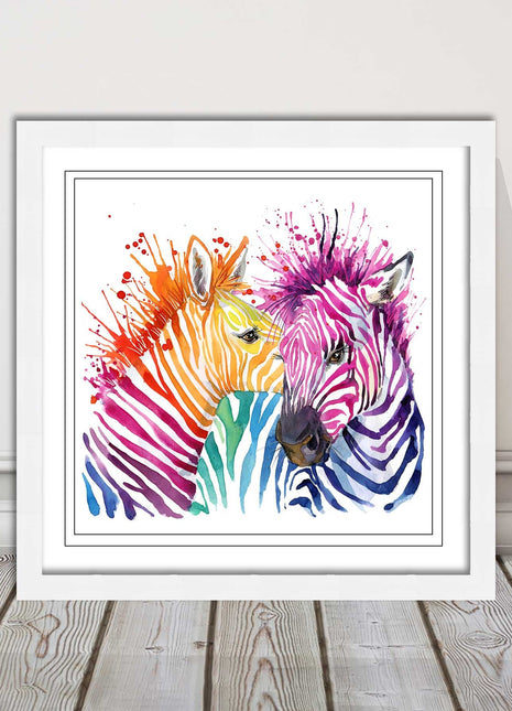 Zebras multi coloura Framed picture print. Colour splash white background