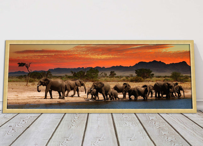 Herd of Elephants in African Savannah, at sunset. Panoramic framed picture print