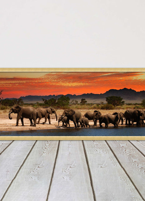 Herd of Elephants in African Savannah, at sunset. Panoramic framed picture print