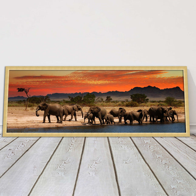 Herd of Elephants in African Savannah, at sunset. Panoramic framed picture print