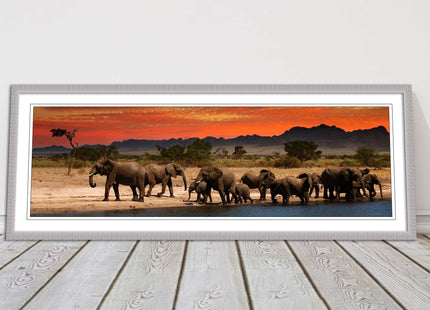 Herd of Elephants in African Savannah, at sunset. Panoramic framed picture print