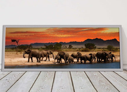 Herd of Elephants in African Savannah, at sunset. Panoramic framed picture print
