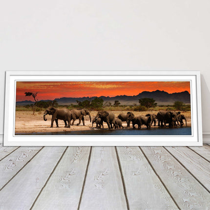 Herd of Elephants in African Savannah, at sunset. Panoramic framed picture print