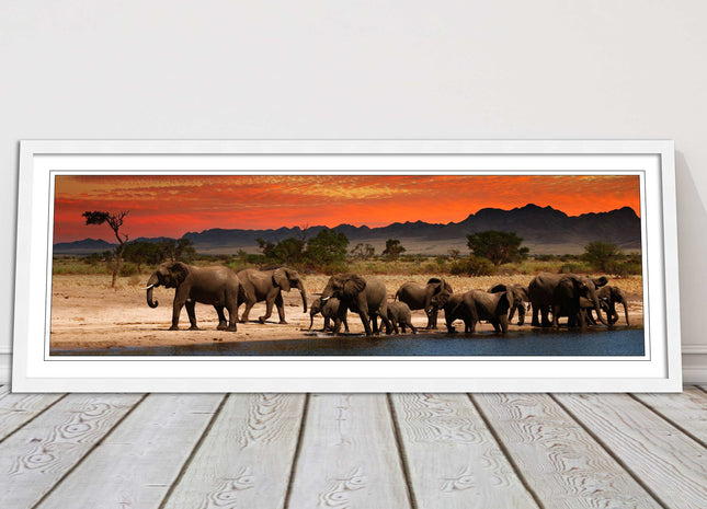 Herd of Elephants in African Savannah, at sunset. Panoramic framed picture print