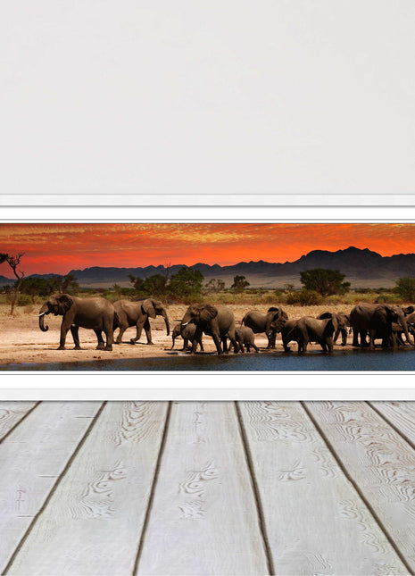 Herd of Elephants in African Savannah, at sunset. Panoramic framed picture print