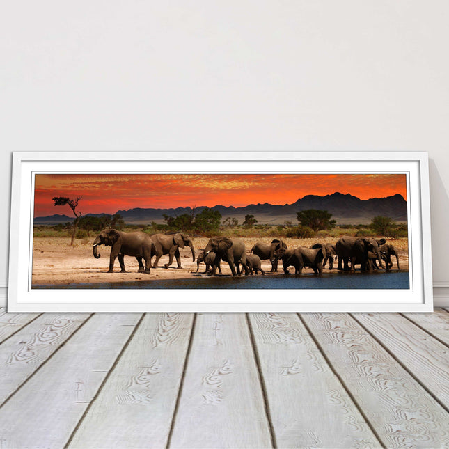 Herd of Elephants in African Savannah, at sunset. Panoramic framed picture print