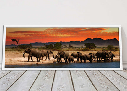 Herd of Elephants in African Savannah, at sunset. Panoramic framed picture print