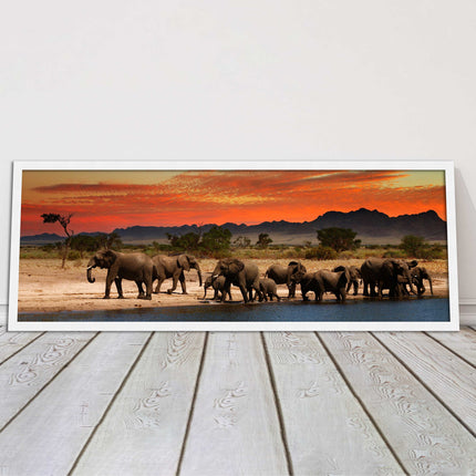 Herd of Elephants in African Savannah, at sunset. Panoramic framed picture print