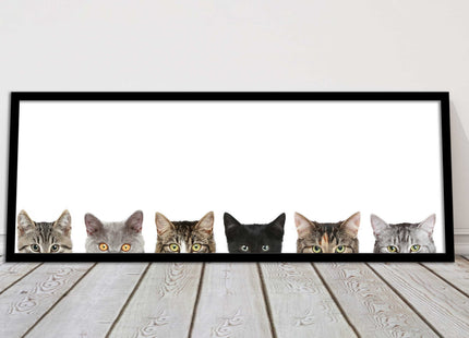 peeping kitten cats funny framed picture print panoramic choice of frame colour