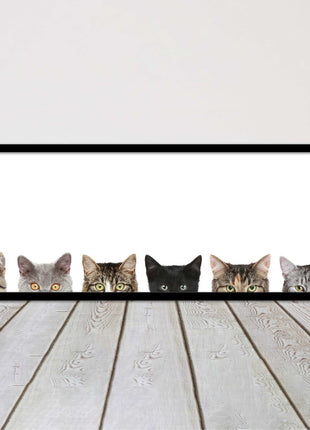 peeping kitten cats funny framed picture print panoramic choice of frame colour