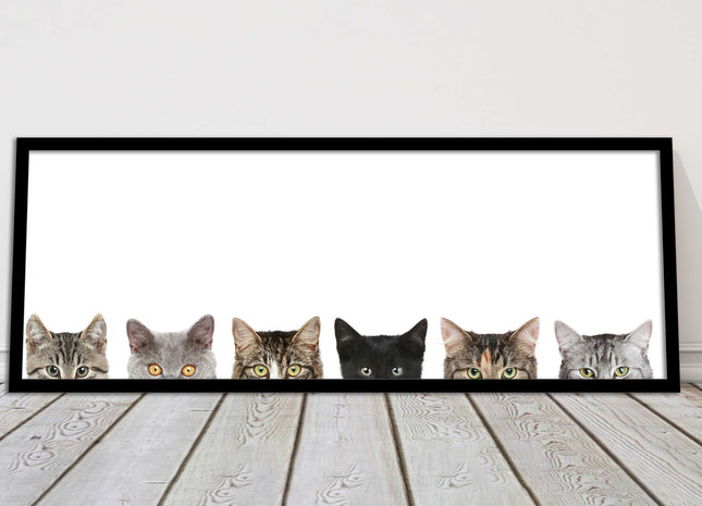 peeping kitten cats funny framed picture print panoramic choice of frame colour