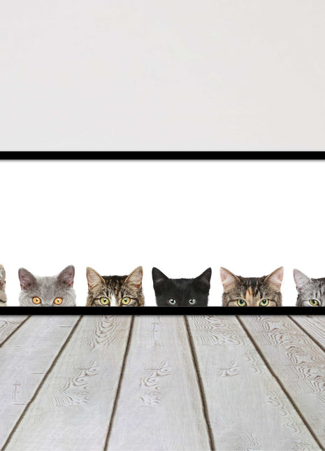 peeping kitten cats funny framed picture print panoramic choice of frame colour