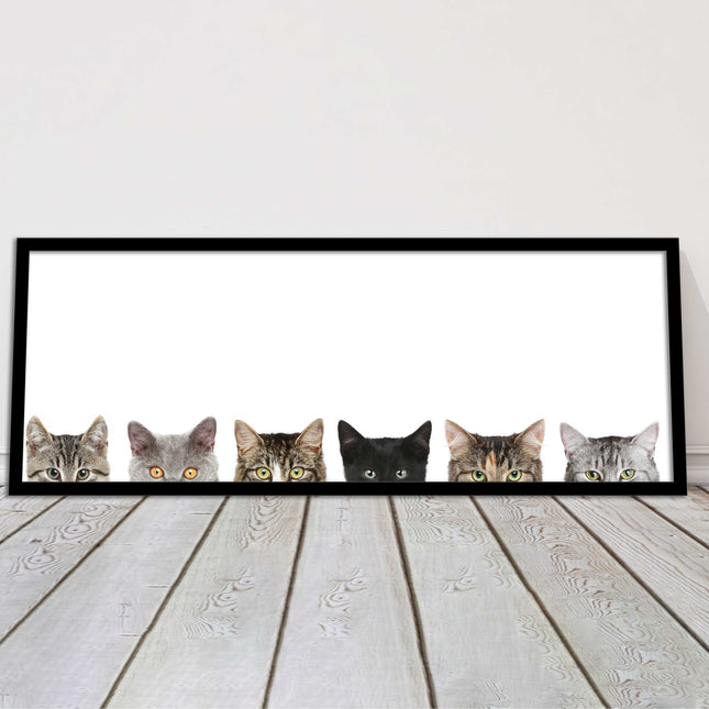 peeping kitten cats funny framed picture print panoramic choice of frame colour