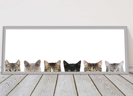 peeping kitten cats funny framed picture print panoramic choice of frame colour
