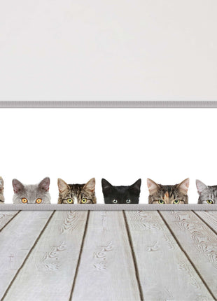 peeping kitten cats funny framed picture print panoramic choice of frame colour
