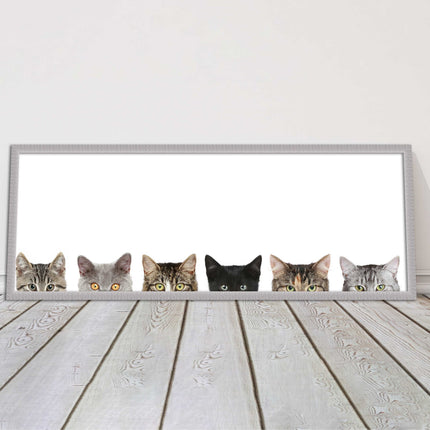 peeping kitten cats funny framed picture print panoramic choice of frame colour