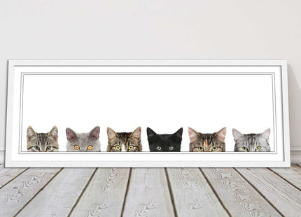 peeping kitten cats funny framed picture print panoramic choice of frame colour