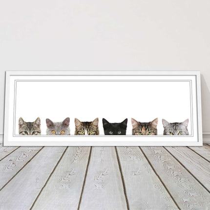 peeping kitten cats funny framed picture print panoramic choice of frame colour